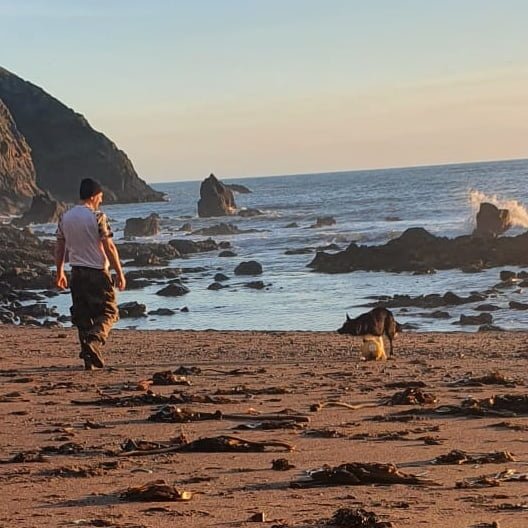 Border Collie running joyfully on a sandy beach at sunset, with ocean waves and rocky coastline in the background