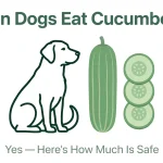 Simple graphic asking “Can Dogs Eat Cucumber?” with a line-drawn dog sitting beside a whole cucumber and three cucumber slices. Text below reads “Yes — Here’s How Much Is Safe.”