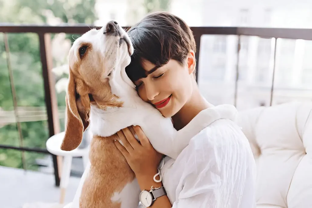 Stay Calm with Dogs