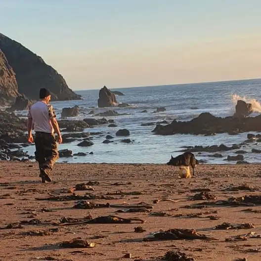 Meet the Pack: Our Love Affair with All Things Dog 2 Lexi the Border Collie sprinting on a beach