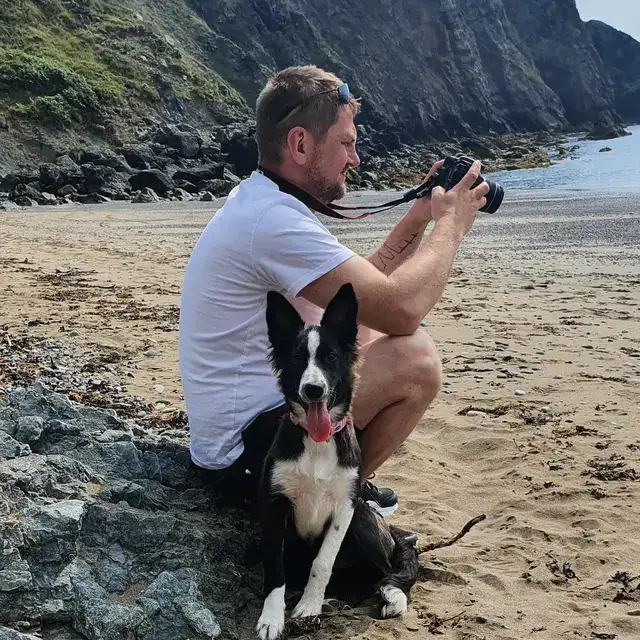 Meet the Pack: Our Love Affair with All Things Dog 5 Border Collie Lexi us a Pup- time on the Beach