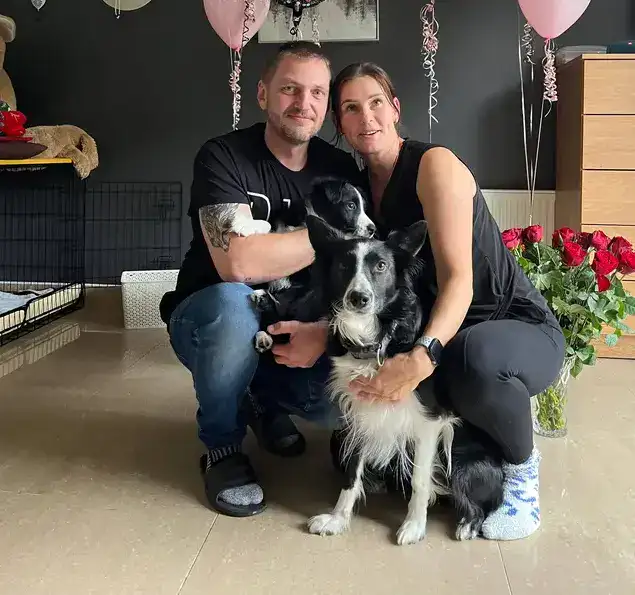 Meet the Pack: Our Love Affair with All Things Dog 7 Border Collies Lexi and Junior Barker With their Humans